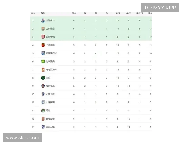 中超联赛积分榜竞争激烈，各球队状态分析与未来展望值得关注